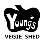 Youngs Vegie Shed